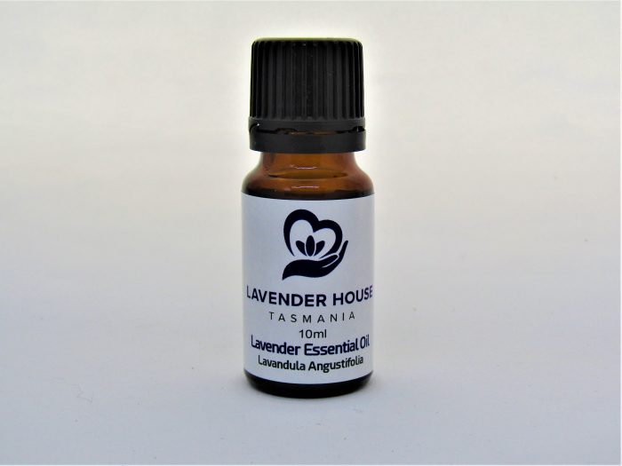 English Lavender Essential OIl